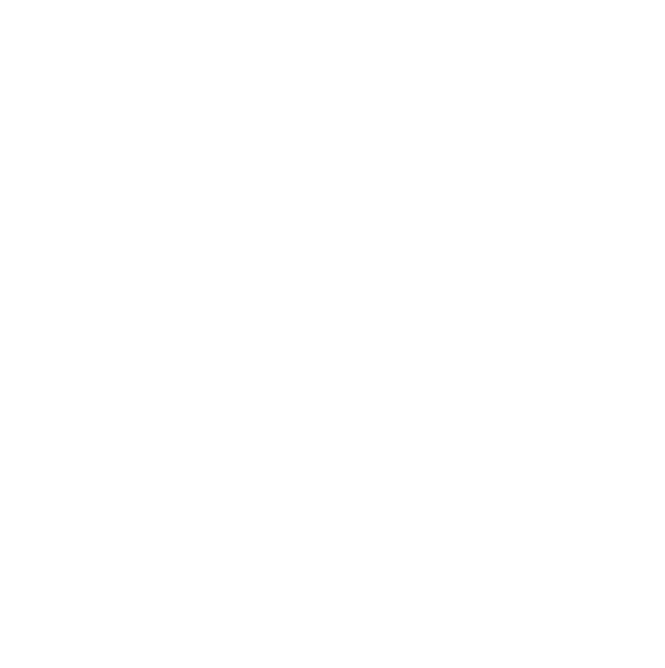 Essilor